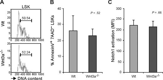 Figure 6. Long-term repopulation deficiency is not caused by altered cell cycle or survival. (A) Cell-cycle analysis (Hoechst 33342) of E12.5 FL LSKs from Wt and Wnt3a−/− embryos. Values represent percentage of LSK cells in S/G2/M phases of the cell cycle. Results are representative of 3 Wnt3a−/− and 6 Wt embryos from 3 different litters. (B) Determination of percentage of apoptotic cells by staining with annexin V and 7AAD. Apoptotic cells were defined as annexin V+ 7AAD−. Results are representative of 6 Wnt3a−/− and 6 Wt embryos from 2 different litters. (C) Activation of Notch1 in E12.5 FL LSKs from Wt and Wnt3a−/− embryos. Results are representative of 4 Wnt3a−/− and 8 Wt embryos belonging to 4 different litters.