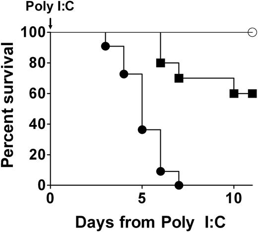 Figure 2. A profound genetic diminution of prothrombin in adult mice is not compatible with long-term survival. Representative survival profiles in Mx+fIIlox/− mice after a single intraperitoneal injection of either 0.05 μg/g (cohort of 10; ■) or 5 μg/g (cohort of 11; ●) of poly I:C to induce hepatic recombination of the prothrombin floxed allele. A parallel survival analysis using Mx−fIIlox/− animals lacking the Cre recombinase transgene, but treated with 5 μg/g of poly I:C, is shown for comparison (cohort of 5; ○). A dose-dependent loss in viability was observed in poly I:C–treated Mx+fIIlox/− mice, whereas no deaths were observed in Mx−fIIlox/− animals treated with poly I:C. Gross analyses of tissues at autopsy revealed severe hemorrhage within multiple tissues of Cre-induced mice, including heart, pleural cavity, and brain. Identical results were obtained in multiple independent experiments of the same design. Kaplan-Meier analysis established a statistically significant difference in survival in Cre transgene-positive and Cre transgene-negative fIIlox/− mice after administration of 5 μg/g poly I:C (P < .002).