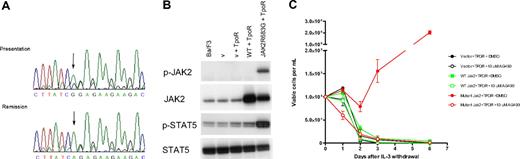 Figure 1. JAK2R683G is an activating mutation in DS-ALL. (A) Sequence analysis shows the JAK2R683G mutation in a DS-ALL patient. (Top) Sequence obtained from bone marrow DNA at presentation and (bottom) complete remission. The A to G substitution is shown by an arrow. During remission the sequence was identical to wild-type, showing that the mutation is acquired. (B) Western blotting analysis of JAK2 and STAT5 protein in IL-3–dependent Ba/F3 cells. Extraction and Western blotting analyses were performed with the use of standard protocols. Antibodies against JAK2 and phospho-JAK2 (p-JAK2), STAT5, and phospho-STAT5 (p-STAT5) were from Cell Signaling Technology (New England Biolabs, Ipswich, MA). Lane 1 indicates untransformed Ba/F3 cells; lane 2, empty vector control (v) (with neo and puro); lane 3, empty vector + TpoR; lane 4, wild-type (wt) JAK2-transformed Ba/F3 cells; lane 5, JAK2R683G mutant–transformed Ba/F3 cells. (C) Ba/F3 proliferation after IL-3 withdrawal. The JAK2R683G mutation was generated in the IMAGE clone 6838318 containing murine JAK2 cDNA using site-directed mutagenesis (Quikchange-Xl; Stratagene; Cambridge, United Kingdom) and confirmed by full-length DNA sequencing. Ba/F3 cells were cotransduced with thrombopoietin receptor (TpoR) and wild-type or mutant (R683G) JAK2. Cells were washed 3 times in PBS and cultured at 105/mL in the absence of IL-3 for 6 days with or without the JAK2 inhibitor AG490. Cell numbers and viability were assessed in duplicate after Trypan Blue exclusion staining.