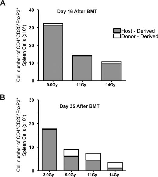 Figure 4. Treg T cells in the spleens of mice after reduced-intensity and high- intensity TBI. B6-wt (CD45.2) recipient mice were conditioned with various doses of irradiation ranging from 3.0 to 14.0 Gy. With the exception of the 3.0 Gy (single dose), conditioning was delivered using 2 equivalent split doses beginning on day −1 with an overnight rest between doses. On day 0, conditioned mice were transplanted with 5 × 106 TCD-BM from B6-CD45.1 donors. Spleen cells from transplanted animals were analyzed 16 (A) and 35 (B) days post-HCT to determine the numbers of donor versus host CD4+CD25+Foxp3+ present. Results represent staining from pools of 4 mice per group.