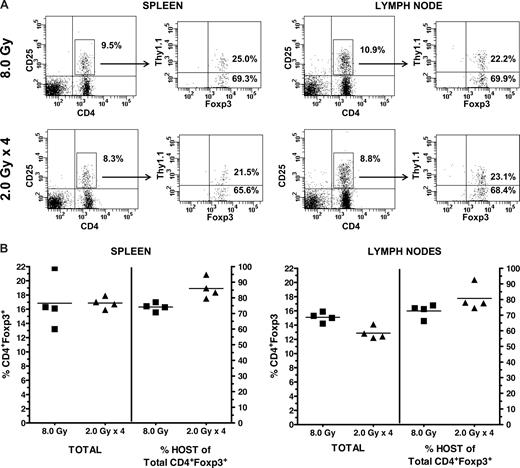 Figure 6. Recipient B6-wt (Thy1.2) mice were conditioned with either a single 8.0-Gy TBI dose (day −1) or 4 daily 2.0-Gy TBI doses (days −4, −3, −2, and −1). On day 0, all recipients received 5 × 106 B6-Thy1.1 TCD-BM. One month posttransplant, spleen and lymph nodes cells were harvested and analyzed for Foxp3+ cells of donor (Thy1.1+) and host (Thy1.1−) origin. (A) Representative Foxp3 phenotype of the CD4+CD25+ T cells and percentage of donor versus host cells in spleen (8.0 Gy: 25.0 vs 69.3; 2.0 Gy × 4: 21.5 vs 65.6) and lymph node (8.0 Gy: 22.2 vs 69.9; 2.0 Gy × 4: 23.1 vs 68.4). (B) Individual analysis of spleen and lymph nodes for the total percentage of the CD4+Foxp3+ T cells in 8.0 Gy vs 2.0 Gy × 4 recipients and the percentage of this population, which are of host origin; N = 4/group.
