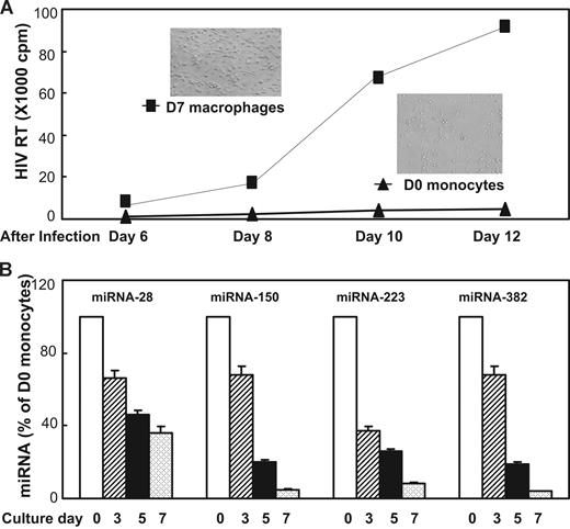 Figure 1. Differential HIV-1 infectivity and anti–HIV-1 miRNAs expression in monocytes and macrophages. (A) HIV-1 infection of monocytes and macrophages. Cells were infected with HIV-1 Bal strain either immediately after isolation (D0 monocytes) or after having been cultured for 7 days (D7 macrophages). Replication kinetics of HIV-1 Bal in cell culture was measured by RT activity in culture supernatants. Culture supernatants were collected at the indicated time points postinfection. The data shown are the mean (± SD) of triplicate cultures, representative of three experiments using cells from three different donors. The inserts shown in A are the morphologies of freshly isolated monocytes (D0 monocytes) and 7-day cultured monocytes (D7 macrophages). (B) Anti-HIV-1 miRNAs expression during monocyte differentiation. Cells collected at the indicated time points were subjected RNA extraction for miRNA expression by real-time RT PCR. The data shown are the mean (± SD) of triplicate cultures representative of 3 experiments using cells from 3 different donors.