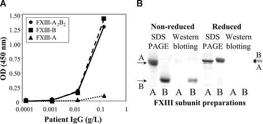 Figure 2. The binding of the patient's IgG to FXIII subunits. (A) The binding of patient's IgG to highly purified FXIII-A2B2 (●), FXIII-A2 (▲), or FXIII-B (■) coated to a microtiter plate. (B) The binding of the patient's IgG to FXIII subunits as detected by Western blotting. A and B under the individual lanes indicate FXIII-A and FXIII-B, respectively. SDS PAGE was carried out both in nonreducing and reducing conditions. The arrows on the right and left sides indicate the position of FXIII-A and FXIII-B. Note the difference in the mobility of reduced and nonreduced FXIII-B. The left 2 lanes show Coomassie blue staining of electropherograms of 2.5 μg FXIII-A2 and FXIII-B. The right lanes demonstrate the detection of 0.5 μg FXIII subunits by Western blotting. Electroblots were incubated with the patient's IgG, and the immune reaction was visualized by biotinylated goat anti–human IgG and avidin-biotinylated peroxidase complex. IgG from the serum of healthy individuals gave no reaction (not shown in the figure).
