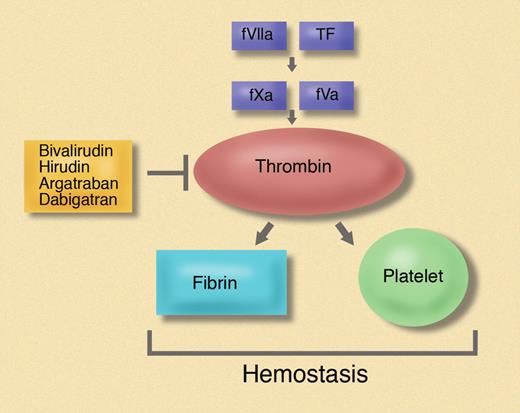 The extrinsic and common coagulation pathways are essential for hemostasis. Formation of the fVIIa:tissue factor (TF) complex after vessel injury leads to activation of fX to fXa, which, together with its cofactor fVa, cleaves prothrombin to thrombin. Thrombin activates fV, fVIII, fXI, and fXIII, cleaves fibrinogen to fibrin, and activates platelets by cleavage of PARs. Direct thrombin inhibitors include bivalirudin, which is used in invasive cardiology, hirudin and argatraban, which are used to treat patients with heparin-induced thrombocytopenia and dabigatran, an orally available drug. Professional illustration by Marie Dauenheimer.