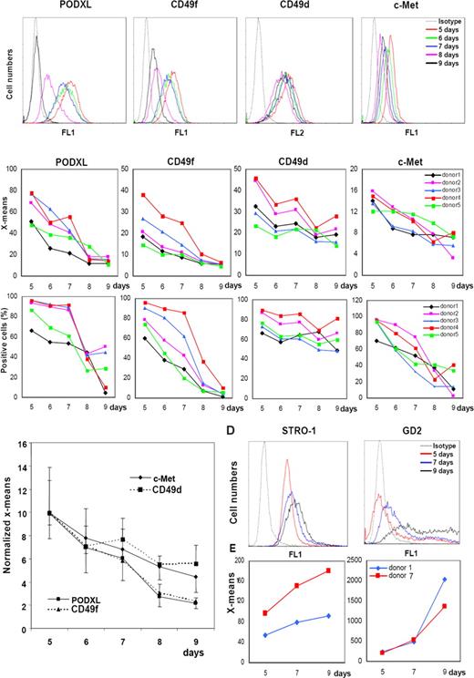 Figure 3. FACScans of changes in the epitopes in MSCs with expansion in culture. (A) Viable passage 1/donor 4 MSCs plated at 100 cells/cm2 and incubated for 5, 6, 7, 8, or 9 days. Cells were lifted with trypsin/EDTA. (B) Data obtained with MSCs from 5 donors under conditions as in panel A. Values expressed either as mean fluorescence intensity (X-means) or percent positive cells. (C) X-mean values from panel B normalized to values for day 5. (D) FACScan from passage 1/donor 1 MSCs incubated as in panel A and assayed for STRO-1 and GD2. (E) X-means values from passage 1/donor 1 and donor 7 MSCs.