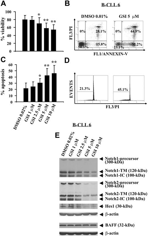 Figure 4. Effect of GSI on spontaneous B-CLL cell apoptosis and Notch1, Notch2, and Hes1 expression. Freshly isolated B-CLL cells were cultured for 24 hours in complete medium with the indicated GSI concentrations or DMSO as control (n = 12). Cell viability was evaluated by trypan blue exclusion (A) and annexin V/PI staining (B). Apoptosis was evaluated by flow cytometric analysis of annexin V/PI–stained cells (B) and hypodiploid nuclei (C,D). Results in panels A and C are presented as the mean plus or minus SD of all 12 patients examined. *P less than .05, **P less than .01 (GSI vs DMSO) according to Student t test. Results in panel B are presented as the percentage of viable (annexin V−/PI−), early apoptotic (annexin V+/PI−), late apoptotic (annexin V+/PI+), and necrotic cells (annexin V−/PI+). Results in panel D are presented as the percentage of hypodiploid nuclei. (E) The expression of Notch1, Notch2, Hes1, and BAFF was analyzed by Western blot in whole-cell lysates (25 μg for Notch1, Notch2, and Hes1 and 50 μg for BAFF), and protein loading was assessed by reprobing the blots with an anti–β-actin mAb. In panels B, D, and E, the results shown for patient 6 are representative of 12 patients.