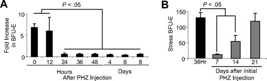 Figure 1. Analysis of BMP4R stress erythroid progenitors during and after the recovery from acute anemia. (A) C57BL/6 mice were injected with PHZ to induce acute anemia. Spleen cells were isolated on the indicated days. BMP4R cells were measured by determining the fold increase in stress BFU-E when the number of stress BFU-E generated when cells were plated in Epo (3 U/mL) plus BMP4 (15 ng/mL) was compared with the number of stress BFU-E generated when cells were plated in Epo alone. (B) C57BL/6 mice were treated with PHZ to induce anemia and allowed to recover for 7 days. The mice were then challenged with a second dose of PHZ as indicated. At 36 hours after the second dose, stress BFU-E were measured by plating spleen cells in methylcellulose media containing Epo (3 U/mL) alone. The response of an untreated mouse 36 hours after the initial dose of PHZ is shown in black. For all assays, at least 3 mice were used at each time point.
