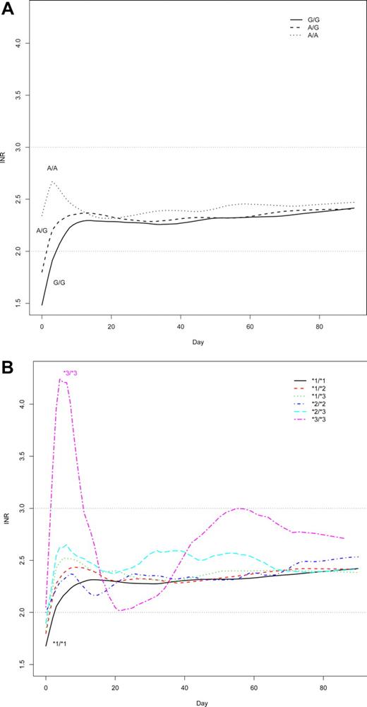 Figure 3. Time to stable anticoagulation. (A) Lowess smoothed plot of INR values over time as a function of VKORC1 rs9923231 (−1639 G>A) genotype. (B) Lowess smoothed plot of INR values over time as a function of CYP2C9 *2 and *3 genotype.