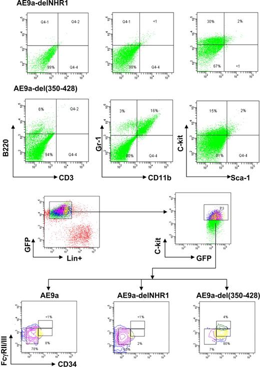 Figure 2. Flow cytometric analyses of various leukemic cells. (A) Hematopoietic lineage marker expression was analyzed in leukemic cells expressing AE9a-delNHR1 or AE9a-del(350-428) (EGFP+). (B) Analyses of surface myeloid progenitor marker expression in AE9a, AE9a-delNHR1, or AE9a-del(350-428) leukemic cells. Data represent the results from analyses of 4 samples of each leukemogenic construct.