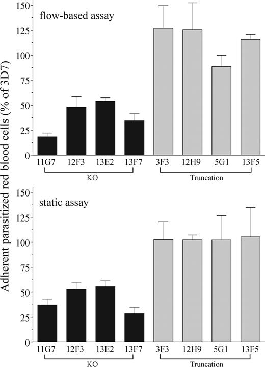 Figure 5. Disruption of Pf332 reduces CD36-mediated adhesion of iRBCs to human platelets under flow and static conditions. Level of adhesion of iRBCs to purified or cell-expressed CD36 from KO 3D7ΔPf332 (11G7, 12F3, 13E2, and 13F7), truncation 3D7ΔPf332a (3F3 and 12H9), and truncation 3D7ΔPf332b (5G1 and 13F5) cultures measured under flow or static conditions. Adhesion represents the number of iRBCs that adhered for the transgenic parasite clones as a percentage of wild-type 3D7 iRBCs. In all assays, adhesion of noninfected RBCs was rare (< 0.05% of total adherent RBCs). Data represent the mean plus or minus SEM (error bars) for at least 3 independent experiments for each parasite clone.