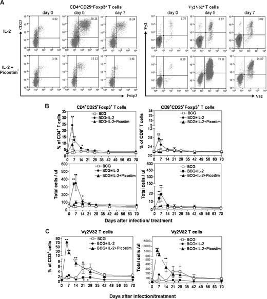 Figure 1. A 5-day IL-2 administration regimen induced an apparent expansion of CD4+CD25+Foxp3+ T cells (Tregs) in PBMCs; adding Picostim to the IL-2 treatment regimen induced Vγ2Vδ2 T-cell expansion and down-regulated IL-2–induced increases in numbers of Tregs in BCG-infected macaques. (A) The top panel of flow cytometry histograms showed that one representative macaque (7285) exhibited increased numbers of CD25+Foxp3+CD4 T cells after the IL-2 treatment (on the left), with subtle changes in Vγ2Vδ2 T cells (on the right). The bottom panel of flow cytometry histograms showed that the other representative monkey (7287) displayed reduced numbers of CD25+Foxp3+CD4 T cells after the IL-2 + Picostim treatment compared with the IL-2–treated monkey, with marked increases in Vγ2Vδ2 T cells (on the right). CD25+Foxp3+ T cells were gated on CD4. Note that the percentages of CD25+Foxp3+ Tregs in CD3+ T cells were 4% on day 5 after the IL-2 + Picostim treatment. Also see total numbers of these T cells in panel B. (B) Changes in percentage and absolute numbers of CD4+CD25+Foxp3+ T regulatory cells in PBMCs of 3 groups of monkeys (BCG; BCG + IL-2; BCG + IL-2 + Picostim) over time after treatment/infection. Shown are the mean values with SEM from 6 monkeys for each group. **P < .01; *P < .05 for differences between BCG + IL-2 and BCG groups and between BCG + IL-2 and BCG + IL-2. (C) Changes in percentage and absolute numbers of Vγ2Vδ2 T cells in PBMCs of 3 groups of monkeys (BCG; BCG + IL-2; BCG + IL-2 + Picostim) over time after treatment/infection. **P < .01; *P < .05 for differences between BCG + IL-2 and BCG groups, and between BCG + IL-2 + Picostim and BCG groups or BCG + IL-2 + Picostim and BCG + IL-2 groups. Note that IL-2–induced expansion of Tregs (B) led to subsequent suppression of BCG-induced expansion of Vγ2Vδ2 T cells at days 21 to 42 (*P < .05 for differences between BCG + IL-2 and BCG groups as well as BCG + IL-2 and BCG + IL-2 + Picostim groups at days 21 and 28).