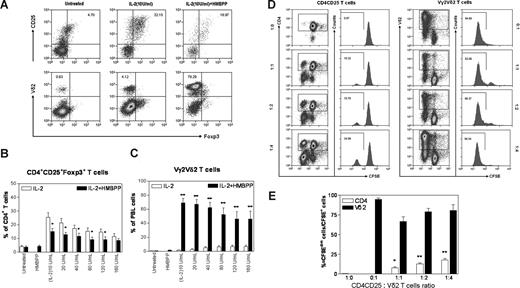 Figure 2. In vitro HMBPP activation of Vγ2Vδ2 T cells in PBMCs, but not in the CD25+CD4+ cell culture containing Tregs, down-regulated IL-2–induced proliferation/expansion of CD4+CD25+Foxp3+ regulatory T cells. (A) Flow cytometry histograms showed changes in percentages of CD4+CD25+Foxp3+ T cells for one representative macaque (7404) after the 8-day culture with IL-2 or IL-2 + HMBPP (top panels were CD4 gated). Panels B and C show percentages of Tregs and Vγ2Vδ2 T cells, respectively, after the 8-day culture with IL-2 only or IL-2 + HMBPP. Data were mean values with SEM derived from 3 independent experiments using PBMCs from 7 naive cynomolgus monkeys. **P < .01; *P < .05 for the comparisons. (D,E) CD4+CD25+ T cells and activated Vδ2 T cells proliferated mutually in the presence of IL-2 in the culture without APCs and other immune cells. Purified Vδ2+ T cells (0 × 105, 1 × 105, 2 × 105, or 4 × 105) were mixed with 105 cells/well of CD4+CD25+ T cells, labeled with CFSE, and then cultured with 20 U/mL IL-2 for 7 days. Proliferation was analyzed by flow cytometry to determine the dilution of CFSE fluorescence intensity: the number of CFSEdim cells divided by the number of CFSE+ cells. (D) Flow histograms of one representative macaque (7716). (E) Percentage rates of proliferation of CD4+CD25+ T cells and Vδ2 T cells after the 7-day culture. Data were mean values with SEM from 3 independent experiments using PBMCs from 6 naive macaques. **P < .01; *P < .05 for differences between CD4+CD25+ T cells only and these cells plus Vδ2 T cells. Purified CD25+CD25+ T cells were shown to inhibit antigen-specific T cells (data not shown).
