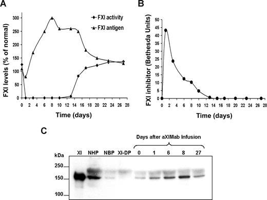 Figure 3. Sustained inhibition of circulating FXI procoagulant activity after administration of aXIMab. An intravenous injection of aXIMab (2 mg/kg) was given over 5 minutes to a single baboon. Plasma samples were collected into citrate anticoagulant and tested over 4 weeks for (A) FXI procoagulant activity, FXI antigen (FXI:Ag), and (B) inhibitor levels, with each time point being the mean of duplicate measurements. The FXI:Ag ELISA could be used to detect both free and complexed FXI. Because the Bethesda assay detected only free FXI inhibitor (aXIMab), FXI:Ag and FXI activity at low inhibitor levels did not correlate until all complexes were cleared from circulation. The 1-hour time points for all levels were omitted for clarity. (C) A Western blot of 1-μL NHP and NBP samples size-fractionated by nonreducing 7.5% SDS-PAGE. Detection was with a polyclonal antibody against human FXI. The 5 lanes on the right represent samples before (0) or 1, 6, 8, and 27 days after infusion of aXIMab. XI indicates 100 ng purified human FXI; NHP, normal human plasma; NBP, normal baboon plasma; and XI-DP, FXI-deficient human plasma.