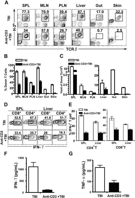 Figure 2. Anti-CD3 preconditioning inhibited donor T-cell infiltration of GVHD target tissues. Five days after injection of donor TCD-BM and spleen cells (5 × 106), the percentage and yield of donor T cells in spleen, MLNs, PLNs, liver, gut, and skin of the recipients with or without anti-CD3 preconditioning were compared. There were 4 recipients in each group. (A) A representative FACS pattern. Mononuclear cells from different tissues were stained with anti-TCRαβ versus anti-H-2b (donor MHCI), and the donor-type T cells were gated. (B) Mean plus or minus SE of the donor T-cell percentage among total mononuclear cells of 4 recipients. (C) Mean plus or minus SE of the yield of donor T cells in different tissues. (D) A representative intracellular IFN-γ staining pattern of the gated H-2b+CD4+ or H-2b+CD8+ T cells. The IFN-γ+ cells were gated. (E) Mean plus or minus SE of the percentage of donor IFN-γ+CD4+ or CD8+ cells of 4 examined recipients. (F,G) Mean plus or minus SE of serum IFN-γ and TNF-α levels of 6 examined recipients.