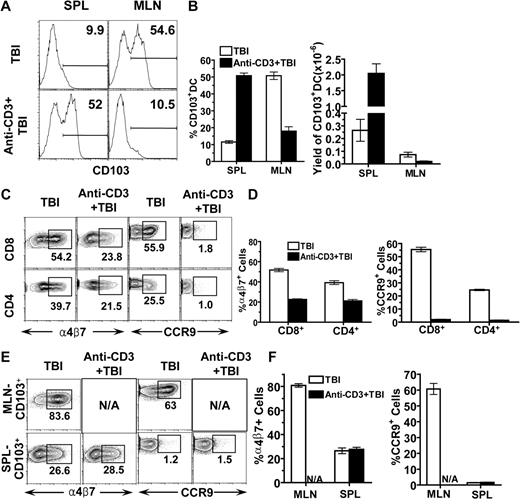 Figure 5. Anti-CD3 preconditioning reduced CD103+ DCs in MLN and reduced MLN DC capacity to induce donor T-cell expression of α4β7 receptor and CCR9. Spleen and MLN cells of BALB/c mice with or without anti-CD3 preconditioning were harvested and enriched for CD11c+ DCs by micromagnetic beads. The CD11c+-enriched cells were further analyzed with flow cytometry or used for in vitro culture. (A) A representative FACS pattern of CD103 expression among CD11c+ DCs. (B) Mean plus or minus SE of CD103+ cells among CD11c+ DCs and the yield of CD103+CD11c+ DCs in spleen and MLNs of 4 mice with or without anti-CD3 preconditioning. (C) Sorted CD4+/CD8+ T cells (0.2 × 106) from C57BL/6 spleen were cocultured with enriched CD11c+ DCs (0.1 × 106) from the MLNs of host BALB/c mice with or without anti-CD3 preconditioning for 4 days. Thereafter, donor CD4+ or CD8+ T cells were analyzed for the expression of α4β7 receptor and CCR9. One representative of 4 replicate experiments is shown. (D) Mean plus or minus SE of the percentage of α4β7+ or CCR9+ cells among donor CD4+ or CD8+ T cells in the culture of the 4 experiments. (E) Sorted donor CD8+ T cells (0.2 × 106) were cocultured with CD103+ DCs (0.05 × 106) from MLN and spleen of the host mice, and then donor CD8+ T-cell expression of α4β7 receptor and CCR9 were analyzed. The α4β7+ or CCR9+ CD8+ T cells were gated. One representative of 4 replicate experiments is shown. (F) Mean plus or minus SE of the α4β7+ receptor or CCR9+ cells among donor CD8+ T cells of the 4 experiments.