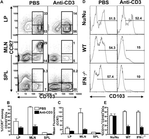 Figure 6. Anti-CD3 preconditioning down-regulated CCR7 expression by CD103+ DCs in intestine LP and MLN, and this effect required anti-CD3 activation of host T cells. (A) Nine days after anti-CD3 preconditioning, CD11c+ DCs from LP, MLN, and spleen of the BALB/c mice with or without preconditioning were analyzed with flow cytometry. The gated CD11c+ DCs are shown in CD103 versus CCR7. The percentage of CCR7+CD103+ or CCR7−CD103+ cells among total DCs is shown next to the gating boxes. One representative of 4 replicate experiments is shown. The mean plus or minus SE of the percentage of total CD103+ DCs among total CD11c+ DCs in different tissues before and after anti-CD3 preconditioning is 85.4 (± 2.9) versus 72.9 (± 6.5), LP; 57.2 (± 1.8) versus 8.4 (± 0.8), MLN; and 7.1 (± 0.8) versus 28.9 (± 3.1), spleen. (B) Mean plus or minus SE of CCR7+ cells among CD103+ DCs. (C) Mean plus or minus SE of CCR7 expression level (mean fluorescence) by CD103+ DCs. (D) T cell–deficient Nu/Nu mice and IFN-γ−/− mice as well as wild-type mice were preconditioned with anti-CD3 or PBS. Nine days later, the MLN cells were enriched with CD11c+ DCs, and the percentage of CD103+ DCs among total CD11c+ DCs was measured. One representative of 4 examined mice in each group is shown. (E) Mean plus or minus SE of the percentage of CD103+ DCs in MLN of 4 recipients with or without anti-CD3 preconditioning.
