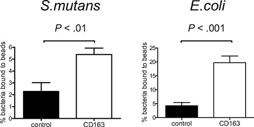 Figure 2. CD163 supports direct binding of Gram-positive and Gram-negative bacteria. CD163-Fc-coated beads (□) or control ICAM3-Fc–coated beads (■) were incubated with S mutans or with E coli bacteria and binding was assessed by flow cytometry as described in “Fluorescent bead adhesion assay.” Bars represent averages plus or minus SD of 2 (S mutans) or 3 (E coli) independent experiments, respectively. Statistics: 2-tailed Student t test.