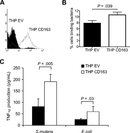 Figure 4. Bacterial binding and bacteria-induced cytokine production in CD163-expressing THP-1 cells. (A) Human CD163 expression on THP-1 cells expressing empty vector (THP EV; filled histogram) or CD163 (THP CD163; open histogram) as analyzed by flow cytometry using the anti-CD163 mAb EDhu1. (B) Binding of DsRed-transfected E coli to THP EV cells and THP CD163 cells as described in “Cell binding assays.” Means plus or minus SD from 3 independent experiments are shown. (C) TNF-α production by THP EV and THP CD163 cells in response to S mutans and E coli bacteria. Bacteria were added in a concentration of 100 bacteria per cell and incubated for 4 hours. Means plus or minus SD from 2 independent experiments are shown. Statistics: 2-tailed Student t test.
