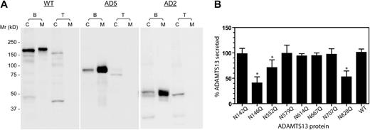 Figure 2. N-glycosylation affects the secretion of ADAMTS13. (A) Tunicamycin suppresses the secretion of ADAMTS13. HEK 293T cells were transfected in the absence (B) or presence (T) of tunicamycin. Cell lysates (C) and concentrated culture media (M) were collected 72 hours after transfection and analyzed at equal volumes by SDS-PAGE and immunoblotting with anti-V5. The numbers to the left of the gels indicate the position of molecular weight markers in kilodaltons. (B) The effect of N to Q substitution on the secretion of ADAMTS13. Transfection of wild-type ADAMTS13 (WT) cDNA or N-glycosylation site mutants was performed in the absence of tunicamycin. Each percent ADAMTS13 secretion was determined from the concentration of ADAMTS13 in the culture medium, divided by the sum of protease concentration in the culture medium and cell lysate. The values were normalized against 100% for the mean of the WT ADAMTS13 secretion. Mean and SD values shown on the y-axis were based on at least 5 batches of transfections. *P < .01 by ANOVA with Dunnett postanalysis against the WT ADAMTS13.