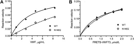 Figure 5. N146Q mutant is less effective than WT ADAMTS13 in cleaving VWF multimers but not in cleaving FRETS-VWF73. (A) Kinetic analysis of VWF multimer cleavage by WT ADAMTS13 (concentration 0.87 nmol/L) or N146Q mutant (concentration 1.08 nmol/L). (B) Kinetic analysis of FRETS-VWF cleavage by WT ADAMTS13 (0.2 nmol/L) or N146Q mutant (0.18 nmol/L). The reaction velocity (WT:♦; N146Q: ◇), based on the increase of the dimeric 176-kDa fragment level on immunoblots against a reference curve constructed from serial dilutions of normal human plasma for panel A and on the increase of fluorescence intensity for panel B, was curve-fitted to Michaelis-Menten equation (solid and dashed lines) to obtain the equivalent values of Km and kcat. Because neither the reaction velocity nor the unit of VWF multimers was measured in molar concentrations, this analysis yielded kinetic value equivalents that were suitable only for intra-assay comparison. The difference between N146Q and WT ADAMTS13 against VWF multimers was significant (<.05) for Km but not for kcat. No significant difference was detected in either Km or kcat against FRETS-VWF73. Similar results were obtained in a repeated analysis.