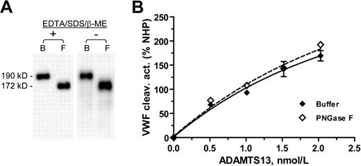 Figure 6. Deglycosylation of ADAMTS13 by PNGase F does not affect its VWF cleaving activity. (A) The molecular weight of the WT ADAMTS13 in HEK 293T cell–secretion decreased from 190 kDa in the buffer control (B) to 172 kDa after overnight incubation at 37°C with PNGase F in the presence (+) or absence (−) of EDTA, SDS, and β-mercaptoethanol (β-ME). (B) VWF cleaving activity, expressed in percent of NHP, of the ADAMTS13 protein assayed at varying concentrations after incubation with buffer (♦) or PNGase F (◇) in the absence of EDTA/SDS/β-ME. NHP: normal human plasma.