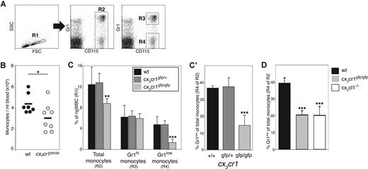 Figure 1. Reduced numbers of Gr1low monocytes in CX3CR1-deficient mice under steady-state conditions. (A) Flow cytometric analysis of blood monocytes. Left dot plot shows total Ficoll-fractionated wt blood cells. Cells gated in region R1 are living, nongranular white blood cells (ngWBCs). Middle and right dot plots show CD115 and Gr1 staining of blood cells gated in R1. Region R2 gates monocytes, as indicated by their CD115 expression. Cells gated in R3 and R4 regions are Gr1hi and Gr1low monocytes, respectively. (B) Comparison of blood monocyte population size of wt (●) and cx3cr1gfp/gfp (○) mice. Diagram shows number of monocytes, identified as CD115+ cells (R2 gated cells), in 1 mL blood. Each circle represents a single mouse. (C,C′) Comparison between monocyte population size of wt (■), cx3cr1gfp/+ () and cx3cr1gfp/gfp () mice. Bar diagram (C) shows for each group of mice the percentage of total blood monocytes (R2 gated cells), Gr1hi monocytes (R3 gated cells) and Gr1low monocytes (R4 gated cells) out of ngWBC gated in R1. (C′) Alternative presentation of the data showed in panel C. Bar diagram shows the percentage of Gr1low monocytes (R4 gated cells) among total monocytes (R2 gated cells) for each of the mouse strains; n = 5. (D) Comparison between blood monocytes of wt (■), cx3cr1gfp/gfp () and cx3cl1−/− mice (□). Bar histogram shows for each group the percentage of Gr1low monocytes (R4 gated cells) of total monocytes (R2 gated cells) for each mouse strain; n = 5. *P < .05, **P < .005, **P < 5 × 10−5, all as compared with wt mice (Student t test).