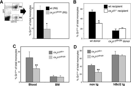 Figure 2. Reduction of Gr1low monocytes in absence of CX3CR1 is due to impaired cell survival. (A) Comparison of wt and cx3cr1gfp/gfp monocytes in mixed BM chimera blood. BM cells were isolated from either wt or cx3cr1gfp/gfp donors, mixed to 1:1 ratio from each genotype and transferred into irradiated wt recipients. Eight weeks after transfer recipient mice were bled, and their blood content was analyzed. Dot plot shows discrimination between GFP-positive cx3cr1gfp/gfp monocytes (R5 gated cells) and GFP-negative wt monocytes (R6 gated cells). Bar diagram shows percentage of Gr1low monocytes (as gated in R4, Figure 1A) of either total wt (R6 gated cells, ■) or cx3cr1gfp/gfp (R5 gated cells, ) monocytes; n = 8. (B) Comparison of monocyte levels in presence and absence of CX3CL1. Wt and cx3cl1−/− irradiated mice received 1:1 mix of BM cells from wt and cx3cr1gfp/gfp mice, and were bled 8 weeks later. Bar histogram shows percentage of Gr1low monocytes (R4 gated cells, Figure 1A) of total monocytes (R2 gated cells, Figure 1A) of wt (■) and cx3cl1−/− (□) recipients of either wt or cx3cr1gfp/gfp BM cells; n = 5. (C) Comparison of blood and BM monocytes of cx3cr1gfp/+ () and cx3cr1gfp/gfp () littermates. Bar diagram shows the percentage of Gr1low cells (gated in R4, Figure 1A) out of total blood or BM monocytes (cells gated in R2, Figure 1A); n = 4. (D) Comparison of monocytes of hMRP8bcl2-transgenic cx3cr1gfp/gfp and cx3cr1gfp/+ mice. Bar histogram shows percentage of Gr1low monocytes (cells gated in R4, Figure 1A) of total monocytes (cells gated in R2, Figure 1A) of cx3cr1gfp/+ () and cx3cr1gfp/gfp () mice, either hMRP8bcl2-transgenic (right bars) or nontransgenic (left bars); n = 3. *P < .0013 **P < .001, ***P < < .005 (Student t test).