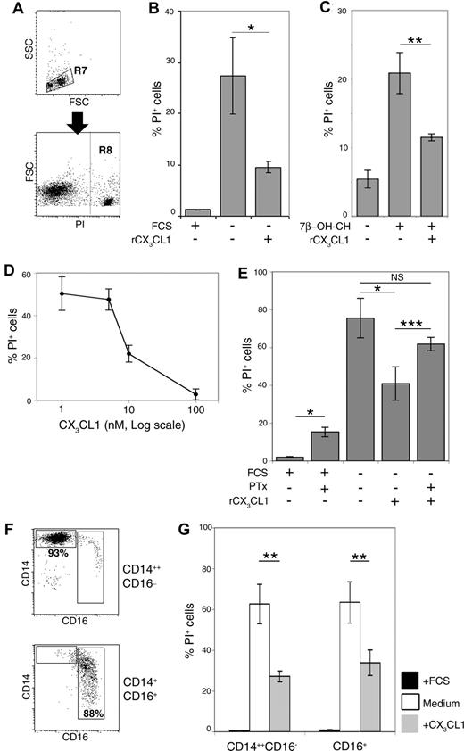 Figure 3. CX3CL1 rescues human blood monocytes from experimentally induced death. (A) Flow cytometric analysis of cultured human blood monocytes stained with propidium iodide (PI). Cells gated in region R7 (left dot plot) represent total analyzed population. Region R8 (right dot plot) gates PI+ cells. All bar diagrams shown in this figure present the portion of R8 gated PI+ dying cells out of R7 gated total cells. (B) Human blood monocytes (CD14++CD16−) were incubated in RPMI supplemented with 10% FCS, 10 nM soluble recombinant CX3CL1 (rCX3CL1), or nonsupplemented medium for 4 hours; n = 3. (C) Human blood monocytes (CD14++CD16−) were incubated in serum-supplemented RPMI either further supplemented or nonsupplemented with 10 nM soluble recombinant CX3CL1 (rCX3CL1). Six hours later, 30 μM 7-β-hydroxycholesterol (7β-OH-CH) was added to the cultures, and cells were analyzed after additional 16 hours; n = 3. (D) Human blood monocytes (CD14++CD16−) were incubated with RPMI supplemented with 1, 5, 10, or 100 nM CX3CL1. Diagram shows percentage of PI+ cells; n = 3. (E) Human blood monocytes (CD14+CD16+) were incubated in RPMI supplemented with 1 μg/mL pertussis toxin (PTx) for 1 hour followed by incubation with 10% FCS, 10 nM soluble recombinant CX3CL1 (rCX3CL1) or unsupplemented medium for additional 4 hours; n = 3. (F) Flow cytometric analysis of isolated CD14++CD16− (top dot plot) and CD14+CD16+ (bottom dot plot) human blood monocytes, before culture. Numbers indicate percentage of gated cells out of total population. (G) Isolated CD14++CD16− and CD14+CD16+ human blood monocytes incubated in RPMI (Medium; □) or RPMI supplemented with either 10% FCS (+FCS; ■) or 10 nM recombinant CX3CL1 (+CX3CL1; ); n = 3. *P < .005, **P < .01, ***P < .05, NS = not significant (Student t test).