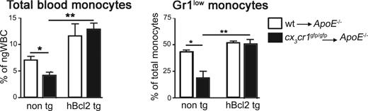 Figure 5. Reduced numbers of Gr1low monocytes in CX3CR1-deficient mice under atherosclerotic condition and rescue by Bcl2 expression. Blood monocyte levels of irradiated apoe−/− recipients of wt (□) and cx3cr1gfp/gfp (■) BM cells, either transgenic (hBcl2 tg) or nontransgenic (non-tg) for hMRP8bcl2. (A) Summary of total monocytes, identify as CD115+ cells (R2 gated cells, Figure 1A), as a percentage of ngWBC (R1 gated cells, Figure 1A); n = 12. (B) Summary of Gr1low monocytes levels (R4 gated cells, Figure 1A) as a percentage of total CD115+ monocyte levels (R2 gated cells, Figure 1A); n = 12. *P < .01, **P < .05 (Student t test).