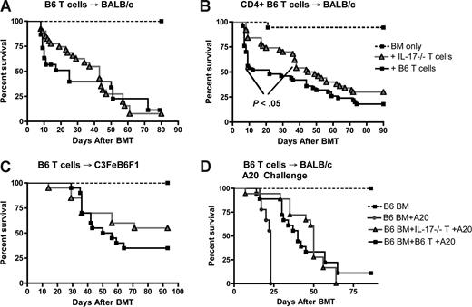 Figure 2. Th17 cells play a role in the early stage of CD4-mediated GVHD. (A) Lethally irradiated (850 cGy) BALB/c mice were reconstituted with 5 × 106 WT B6 TCD-BM alone, or with TCD-BM and 106 nylon wool–passed (NWP) WT B6 T cells or IL-17−/− T cells. Data represent 3 combined experiments: mice either received TCD-BM only (n = 15; dotted line, black square), IL-17−/− T cells + TCD-BM (n = 30; gray line, gray triangles) or WT T cells + TCD-BM (n = 30; solid line, black squares). (B) Lethally irradiated BALB/c mice received 5 × 106 WT B6 TCD-BM and 0.5 × 106 CD4+ WT B6 T cells or IL-17−/− T cells. Data represent 4 combined experiments: mice received either TCD-BM only (n = 30) (dotted line, black square), IL-17−/− CD4+ T cells + TCD-BM (n = 35) or WT B6 CD4+ T cells + TCD-BM (n = 45), P < .04. (C) Lethally irradiated (1300 cGy) C3FeB6F1 mice were reconstituted with 5 × 106 WT B6 TCD-BM and 2 × 106 NWP T cells WT B6 T cells or IL-17−/− T cells. Data represent 2 combined experiments: mice received TCD-BM only (n = 10; dotted line, black square), IL-17−/− T cells + TCD-BM (n = 20; gray line, gray triangles) or WT T cells + TCD-BM (n = 20; solid line, black squares). (D) Lethally irradiated BALB/c mice were reconstituted with 5 × 106 WT B6 TCD-BM (n = 20; dotted line, black square), or 5 × 106 WT B6 TCD-BM + 0.5 × 106 A20 cells (n = 20; gray line, gray circles), and 0.5 × 106 NWP WT B6 T cells + 0.5 × 106 A20 cells (n = 40; solid line, black squares) or IL-17−/− T cells + 0.5 × 106 A20 cells (n = 40; gray line, gray triangles). Data represent 4 combined experiments. Survival curves are shown.