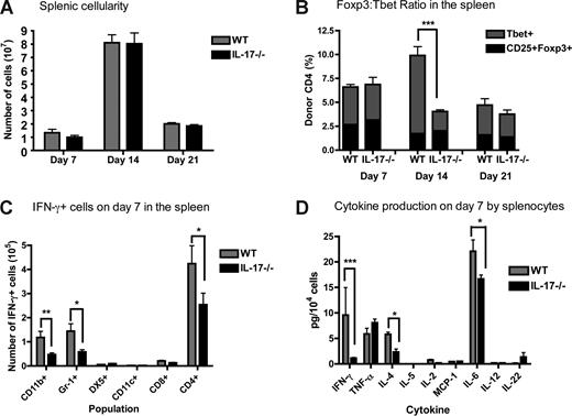 Figure 3. Recipients of IL-17−/− CD4+ T cells have a decrease in splenic Th1 cells and produce decreased levels of proinflammatory cytokines. Lethally irradiated BALB/c mice were reconstituted with 5 × 106 WT TCD-BM and 0.5 × 106 WT or IL-17−/− CD4+ T cells. Spleens from recipient mice were harvested on days 7, 14, and 21 after BMT. (A) The absolute number of splenoctyes in recipients of CD4+ WT (gray) versus CD4+IL-17−/− (black). The mean of each group is shown; data represent 3 combined experiments on days 7 (n = 48) and 14 (n = 28) and one experiment on day 21 (n = 9). (B) The percentage of donor-derived CD4+CD25+Foxp3+ cells (black) and donor-derived CD4+Tbet+ cells (gray) in the spleen was determined using flow cytometry. The mean of each group is shown; data represent one of 3 experiments (days 7 and 14), day 7 (n = 6), day 14 (n = 9), or day 21 (n = 9; 1 experiment on day 21). (C) The number of IFN-γ+ cells on day 7 was determined by intracellular cytokine staining in recipients of CD4+ WT (gray) and CD4+ IL-17−/− (black) T cells. Two combined experiments (n = 12). (D) Splenocytes from recipients of WT B6 CD4+ T cells (gray) and IL-17−/− CD4+ T cells (black) on day 7 after BMT were stimulated in vitro for 4 hours, the supernatant was collected, and a CBA or an ELISA was performed to determine cytokine levels. Graphs represent the amount of cytokine secreted per 104 cells stimulated. The mean of each group is shown (n = 8); data represent one experiment of 2. *P ≤ .05, **P ≤ .01, ***P ≤ .001.