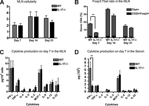 Figure 4. Recipients of IL-17−/− CD4+ T cells have decreased frequency of CD4+ Tbet+ cells in the MLN and decreased IFN-γ levels in the serum on day 7 after BMT. Lethally irradiated BALB/c mice were reconstituted with 5 × 106 WT TCD-BM and 0.5 × 106 WT or IL-17−/− CD4+ T cells. MLN from recipient mice were harvested on days 7, 14, and 21 after BMT. (A) The absolute number of MLN from recipients of CD4+ WT (gray) and CD4+IL-17−/− (black) T cells. The mean of each group is shown; data represent 3 combined experiments on days 7 (n = 48) and 14 (n = 28), and 1 experiment on day 21 (n = 9). (B) The percentage of donor-derived CD4 + CD25 + Foxp3 + cells (black) and donor-derived CD4+Tbet+ cells (gray) in the MLN was determined using flow cytometry. The mean of each group is shown, and data represent one of 3 experiments (days 7 and 14), day 7 (n = 6), day 14 (n = 9) or a single experiment (day 21, n = 9). (C) MLN from recipients of WT B6 CD4+ T cells (gray) and IL-17−/− CD4+ T cells (black) on day 7 after BMT were stimulated in vitro for 4 hours, the supernatant was collected, and a CBA or an ELISA was performed to determine cytokine levels. Graphs represent the amount of cytokine secreted per 104 cells stimulated. The mean of each group is shown (n = 8), and data represent one experiment of 2. (D) Cytokine levels in the serum on day 7 after BMT were measured by CBA and ELISA. Shown is the mean for each group (n = 7), one representative experiment of 3. **P ≤ .01.