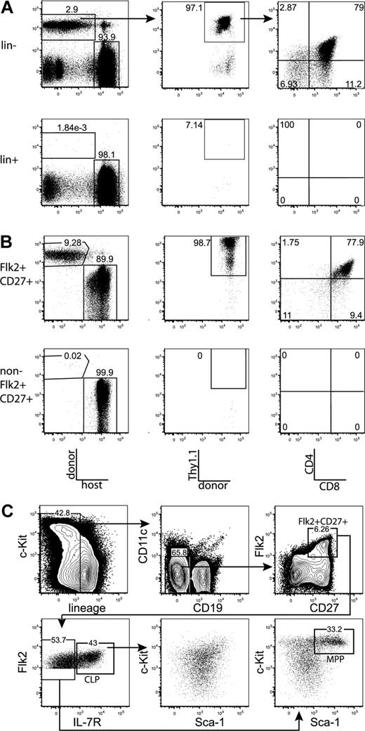 Figure 1. All thymic progenitor activity resides within the lineage−Flk2+CD27+ subset, which includes MPPs and CLPs. (A) BM was separated into fractions positive and negative for mature lineages (CD3, CD4, CD8, CD11c, Mac-1, Gr-1, B220, CD19, Ter119, and NK1.1). The entirety of each population (9 × 105 lineage+, 3 × 105 lineage−) was injected intravenously into 5 sublethally irradiated CD45-congenic recipients. Thymuses were analyzed for donor chimerism 14 days later, and all thymic progenitor activity was found in the lineage− subset. Each flow cytometry plot is representative of 5 recipients. Arrows in top panels indicate gating hierarchy. (B) Thymic chimerism of sublethally irradiated CD45 congenic mice 14 days after injection of 105 lineage− Flk2+CD27+ cells, or all remaining (3 × 106) lineage− non-Flk2+CD27+ cells. All thymic progenitor activity was found within the Flk2+CD27+ subset. Data are representative of 4 independent experiments. The average donor Thy1.1+ chimerism of the recipients of Flk2+CD27+ and non-Flk2+CD27+ populations were 1.9% and 0.0008%, respectively. (C) Representative BM stain used for sorting. BM was depleted of mature lineages using antibodies to CD3, CD4, CD8, B220, Mac-1, Gr-1, and Ter119 and stained for residual lineage+ cells. CD19+ and CD11c+ cells were excluded in separate channels. A total of 2.5 × 106 events were collected. The lineage− Flk2+CD27+ population was divided into IL-7R− MPP (c-Kithi and Sca-1hi) and IL-7R+ CLP, which had uniform low levels of c-Kit and Sca-1.