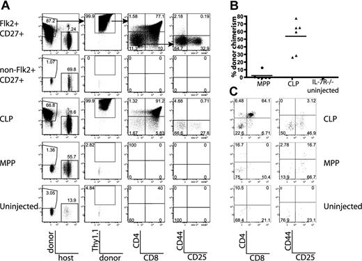 Figure 4. CLPs generate significantly more thymic donor chimerism than MPPs in unirradiated IL-7R−/− and F1 recipients. The BM populations indicated were sorted as in Figure 1C, and BM equivalents (3.8 × 104 Flk2+CD27+, 9.5 × 105 non-Flk2+CD27+, 2.9 × 104 CLP, 1.9 × 104 MPP per IL-7R−/− recipient; 6 × 104 CLP, 4.5 × 104 MPP per F1 recipient) were injected into unirradiated IL-7R−/− or F1 recipients. (A) Flk2+CD27+ cells, and within that population, CLPs represent the major source of prethymic progenitors, 14 days after injection into IL-7R−/− mice. Arrows in the top panel indicate gating hierarchy. (B) Quantification of donor thymocyte chimerism in IL-7R−/− mice from MPPs and CLPs, as shown in panel A. Each symbol represents the chimerism of an individual mouse, and bars represent the average. Data are pooled from 2 separate experiments of 3 recipients each. As determined by the Student t test, differences in chimerism were significant (P = .001). (C) Representative plots of all gated donor thymocytes 14 days after transfer of MPP or CLP from CD45.2, Thy1.2 mice into nonirradiated F1 recipients (CD45.1, Thy1.1x CD45.2, Thy1.2). Donor-gated thymocytes are shown (CD45.2+ CD45.1− Thy1.2+ Thy1.1−). CLP-derived thymocytes are more numerous and have progressed to the DP developmental stage, whereas MPP-derived progeny are relatively rare and are less mature. These plots are representative of 6 mice in 2 separate experiments.