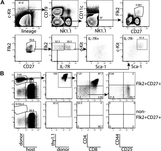 Figure 7. All thymic progenitor activity in blood is found within the rare Flk2+CD27+ subset. (A) Blood was isolated from 20 mice, lineage depleted, and stained to identify lineage−Flk2+CD27+ cells and MPPs and CLPs within this population. The lower left plot shows the enriched lineage−Flk2+CD27+ population. IL-7R+ and IL-7R− cells are present within this population, and the c-Kit versus Sca-1 profiles of both groups are displayed. (B) All lineage−Flk2+CD27+ cells (4500) and all remaining lineage− cells (2.5 × 106) were sorted from the blood of 10 mice and injected into sublethally irradiated congenic recipients as in Figure 2. After 14 days, the contribution of donor thymocytes was determined. All T progenitor activity was within the Flk2+CD27+ blood subset, and thymocytes had reached the CD4+CD8+ DP stage of development. Plots are representative of 3 mice each in each of 2 experiments.