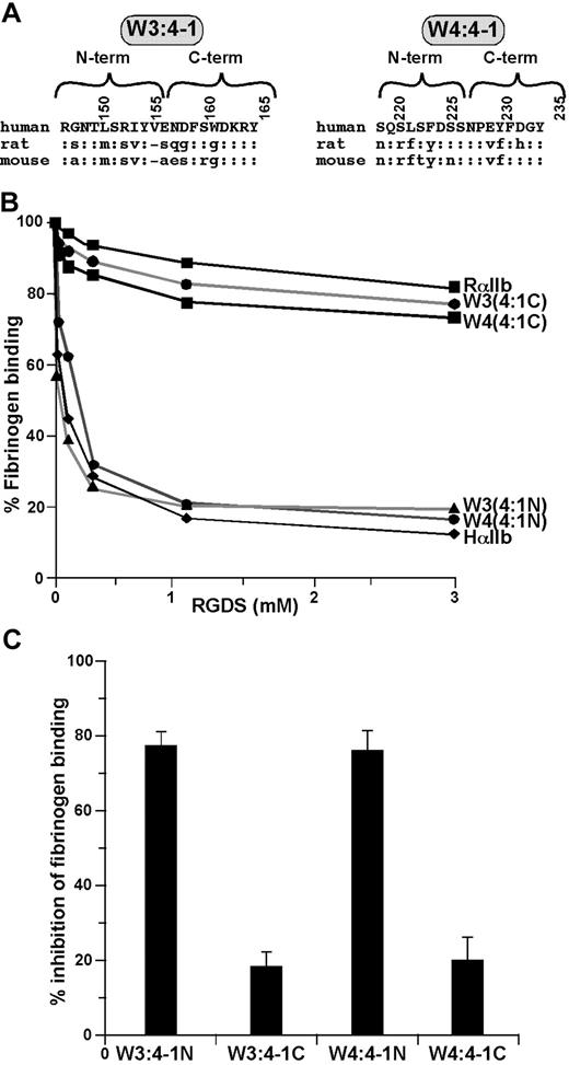 Figure 2. Localization of the sites responsible for the responsiveness of αIIbβ3 to RGDS to the C-terminal halves of the αIIb W3:4-1 and W4:4-1 loops. (A) Amino acid sequences of the human, rat, and mouse αIIb W3:4-1 and W4:4-1 loops; “:” indicates sequence identity. Numbering is for human αIIb. (B) Effect of increasing concentration of RGDS on FITC-labeled fibrinogen binding to CHO cells expressing recombinant αIIbβ3 containing WT HαIIb, RαIIb, and HαIIb in which the N- or C-terminal halves of the human W3:4-1 and W4:4-1 loops have been replaced by the corresponding rat sequence. (C) Percent inhibition of fibrinogen binding to the human/rat chimeras shown in panel B by 1 mM RGDS. Data shown are the mean plus or minus 1 SE of 3 experiments.