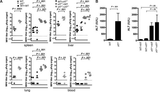 Figure 2. Hematopoietic-derived interferon is essential for the control of MHV and to limit hepatitis. WT mice, irf7−/− mice, and BM chimeras (WT-BM > WT, WT-BM > irf7−/−, irf7−/−-BM > WT and irf7−/−-BM > irf7−/−) were infected with 50 plaque-forming units (PFU) MHV intraperitoneally. (A) After 2 days, viral titers were measured in the spleen, liver, lung, and blood (n = 4-5). (B) ALT levels were measured in the serum (n = 4-5).