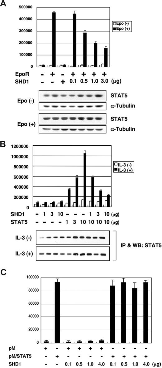 Figure 4. Repression of STAT5-dependent transcription by SHD1. (A) 293T cells were transfected with plasmids expressing Epo receptor, SHD1, and the luciferase reporter construct containing 4 tandem repeats of optimal STAT5-binding site. One microgram of each plasmid was used for transfection unless otherwise indicated. The cells were stimulated with recombinant human Epo (25 U/mL) after 24 hours of transfection, and harvested for luciferase assay after 24 hours of stimulation. The data are the mean plus or minus SD (n = 3). The lysates were analyzed by Western blotting to determine the expression of STAT5 and α-tubulin as a loading control. (B) The indicated amounts of SHD1 or STAT5A expression vector together with luciferase reporter construct containing β-casein promoter were transfected into BaF3 cells by DEAE-dextran method. The cells were stimulated with recombinant murine IL-3 after 24 hours of transfection and harvested for the analysis after 24 hours of stimulation. The data are the mean plus or minus SD (n = 3). The expression level of STAT5 was analyzed by immunoprecipitation and Western blotting. (C) A vector expressing full-length STAT5B fused to GAL4 DNA-binding domain (pM/STAT5, 1 μg) was transfected into 293T cells together with indicated amounts of SHD1 expression vector and the luciferase reporter plasmid bearing 5 copies of GAL4-binding sites (GAL4-luc). The cells were lysed for the analysis after 48 hours of transfection. The data are the mean plus or minus SD (n = 3).