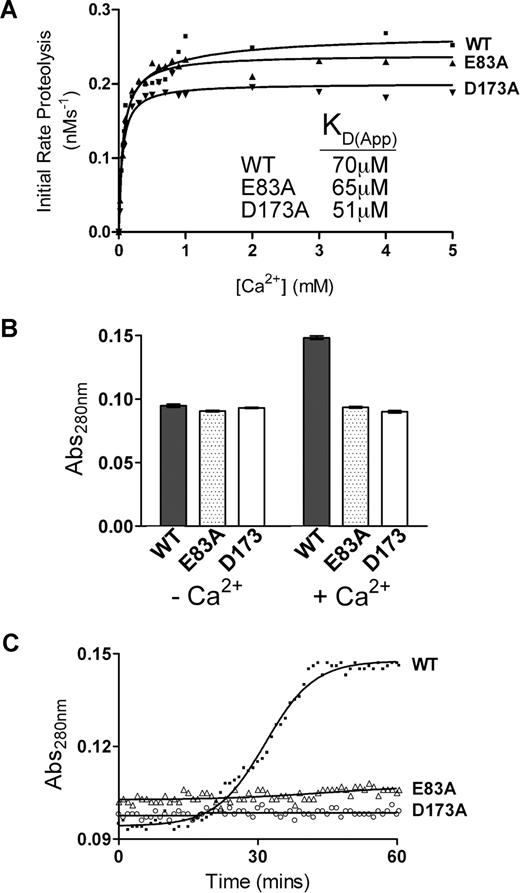 Figure 4. Mutagenesis of Site 1 abolishes the Ca2+-induced conformational change in ADAMTS13 observed under low-ionic-strength conditions. Analysis of putative Site 1 residue mutants. (A) 1 nM ADAMTS13 wild-type, E83A, or D173A in 150 mM NaCl and 20 mM Tris-HCl (pH 7.8) was preincubated with 0 to 5 mM CaCl2 for 60 minutes at 37°C before addition of 1.6 μM VWF115 substrate. After 10 minutes, reactions were stopped with EDTA, and VWF115 cleavage was quantified by HPLC, from which initial rates of substrate proteolysis were determined. Initial rates are plotted as a function of Ca2+ concentration, from which the KD(app) was derived. (B) The Abs280 (± SD) of 1 μM purified ADAMTS13 (■; WT), E83A (▩), or D173A (□) in 20 mM Tris-HCl (pH 7.8) plus or minus 10 mM CaCl2 was measured at 0 minutes and 60 minutes after the addition of CaCl2. (C) Change in Abs280 of 1 μM ADAMTS13 (WT), E83A, and D173A in 20 mM Tris-HCl (pH 7.8) and 10 mM CaCl2 over 60 minutes.