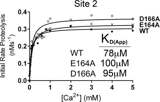 Figure 5. Putative Site 2 is not a high-affinity functional binding site. Analysis of putative Site 2 mutants. 1 nM transiently expressed ADAMTS13 (WT) or E164A or D166A Site 2 mutant in 150 mM NaCl and 20 mM Tris-HCl (pH 7.8) were preincubated with 0 to 8 mM CaCl2 for 60 minutes at 37°C before addition of 1.6 μM VWF115 substrate. After 10 minutes, reactions were stopped with EDTA, and VWF115 cleavage was quantified by HPLC, from which initial rates of substrate proteolysis were determined. Initial rates are plotted as a function of Ca2+ concentration, from which the KD(app) was determined.