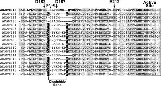 Figure 7. Alignment of ADAMTS13 Ca2+-binding site with other ADAMTS family members. ADAMTS13 metalloprotease domain (residues 171-234) were aligned with corresponding regions of other ADAMTS family members. Regions of amino acid conservation are highlighted in gray. The active site amino acids are boxed/labeled. High-affinity Ca2+-binding residues in ADAMTS13 are labeled with arrows. The Cys residues in all ADAMTS family members except ADAMTS2, 3, 13, and 14 that pair to form a disulphide bond are highlighted in black boxes.