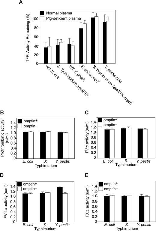 Figure 3. Omptin procoagulant activity is mediated through direct TFPI inactivation. (A) Plasmin does not contribute to TFPI inactivation. Clotting times (measured as in Figure 1B) were obtained for mixtures of TFPI and various bacterial strains (108 cfu/mL) incubated in normal plasma (■) as well as in plasminogen-deficient plasma (□). TFPI activities were determined by reference to a standard curve of clot times versus TFPI concentration. (B-D) Omptin activity toward extrinsic clotting factors. Omptin-positive (■, E coli MC4100, S Typhimurium ΔgalETK, and Y pestis KIM5) and omptin-negative (□, E coli ΔompT, S Typhimurium ΔgalETK ΔpgtE, and Y pestis Δpla) bacterial strains were tested in clotting factor assays to measure changes in the specific coagulant activity of (B) prothrombin, (C) FV, (D) FVII, or (E) FX. Data are mean plus SEM (n = 3).