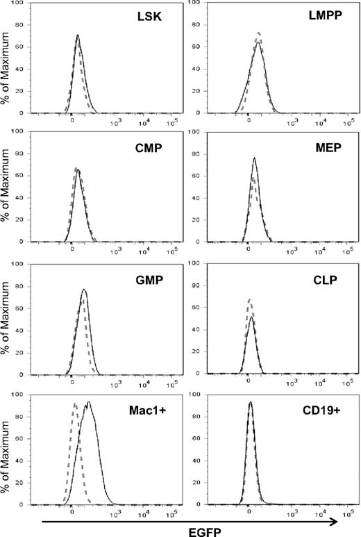 Figure 1. Id1 expression in myeloid lineage cells. Indicated bone marrow subsets were gated as shown in Figure S1. The definitions of the subsets are as follows: LSK, Lin−Sca-1+c-kit+; LMPP, Flt3HiLSK; CMP, Lin−Sca-1−c-kit+CD34+FcγR−; MEP, Lin−Sca-1−c-kit+CD34−FcγR+; GMP, Lin−Sca-1−c-kit+CD34+FcγR+; CLP, Lin−Sca-1+c-kitloIL7R+. Histograms of GFP fluorescence in Id1G/G cells (solid line) were superimposed on those in wild-type cells (dotted line). Data are representative of at least 3 independent experiments.