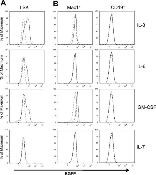 Figure 2. Regulation of Id1 expression by cytokines. (A) LSK progenitors from Id1/GFP knockin mice were treated with SCF plus indicated cytokines for 48 hours. (B) Mac-1+ or CD19+ whole bone marrow cells of Id1/GFP knockin mice were treated with the same cytokines for 24 hours. Histograms of GFP fluorescence in cells treated with indicated cytokines are indicated by solid lines, whereas those in cells treated with SCF alone are indicated by dotted lines. Data are representative of at least 3 independent experiments.
