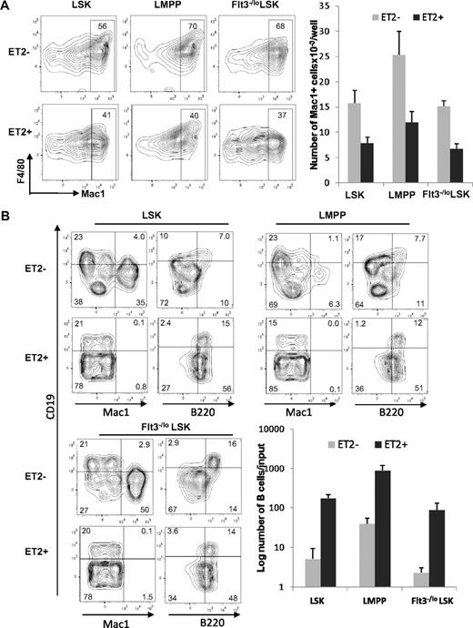 Figure 6. ET2 expression at the LMPP stage inhibits myeloid development and enhances B-cell production. (A) GFP-positive (ET2+) and -negative (ET2−) total LSK, Flt3HiLSK (LMPP), and Flt3−/loLSK were isolated from mice as described for Figure 4 and seeded at 300 cells/well in media containing SCF, IL-3, IL-6, and G-CSF. Four days later, cells were analyzed with the indicated antibodies. The number of Mac-1+ cells produced from each progenitor subset is shown in the bar graph on the right (n = 3). (B) The same subsets of progenitors were also placed at 1250 cells/well in media containing SCF, Flt3-L, and IL-7 and cultured for 16 days. Cells were stained with indicated antibodies and analyzed by flow cytometry. Average numbers of B220+CD19+ cells are shown in bar graphs with SD (n = 3).