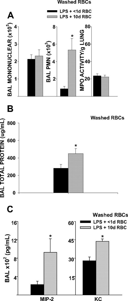 Figure 4. BAL cell counts, lung MPO activity, microvascular permeability, and BAL cytokines 4 hours after transfusion of washed 10-day-old RBCs in endotoxemic mice. Washing erythrocytes immediately before transfusion did not abrogate lung injury after transfusion of 10-day-old RBCs. (A) Transfusion of washed 10-day-old RBCs increased airspace neutrophil recruitment compared with transfusion of RBCs stored for less than 1 day (P = .007). (B) Transfusion of washed 10-day-old RBCs increased lung microvascular permeability compared with transfusion of less than 1-day-old RBCs (P = .039). (C) BAL MIP-2 and KC were increased 4 hours after transfusion of washed 10-day-old RBCs (P = .021 and P < .001 for MIP-2 and KC, respectively). Data are representative of 2 independent experiments; n = 8 animals in each group.