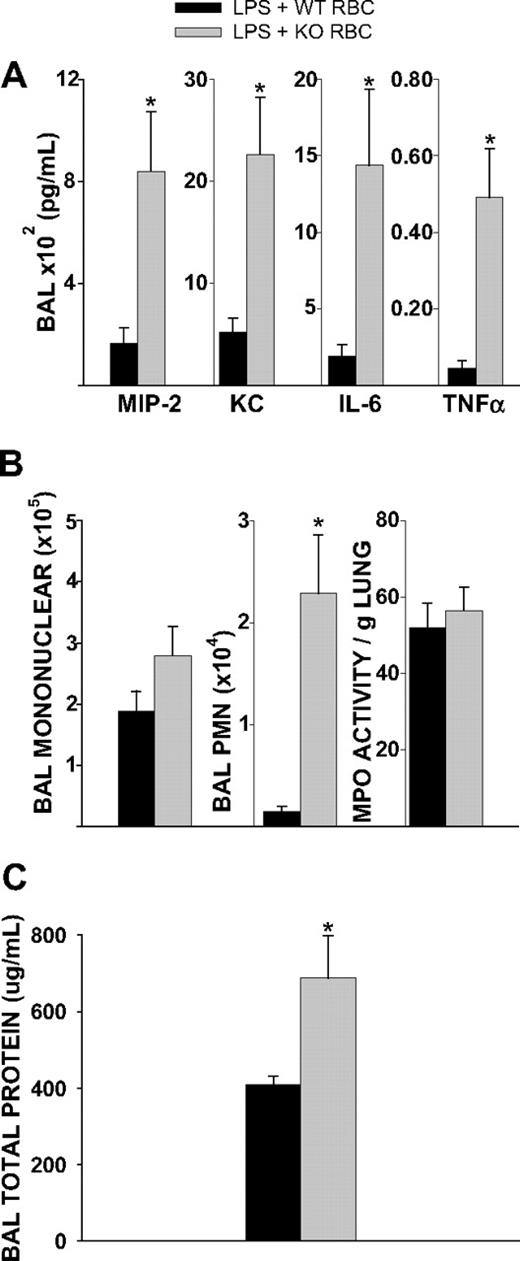 Figure 5. Transfusion of WT or Duffy KO RBCs during endotoxemia. Mice were transfused with 1- to 2-day-old KO or WT RBCs 2 hours after LPS administration. (A) Transfusion of KO RBCs increased BAL cytokines 4 hours after transfusion compared with WT RBC transfusion (P = .008, .022, .022, and .013 for MIP-2, KC, IL-6, and TNF-α, respectively). (B) Total BAL mononuclear cells were similar between the KO and WT RBC transfused animals (P = .233). There was a significant increase in airspace neutrophil counts in the KO RBC transfused animals compared with WT RBC transfused animals (P < .001). (C) Transfusion of KO RBCs increased lung microvascular permeability compared with transfusion of WT RBCs (P = .034). Data are representative of 3 individual experiments; n = 12 in each experimental group.