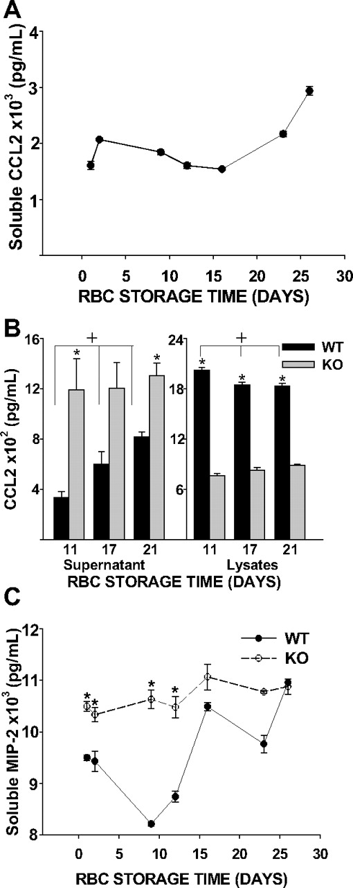 Figure 6. Chemokine scavenging function of murine erythrocytes. (A) A total of 108 erythrocytes with differing storage times were incubated with 2 nM CCL2. CCL2 concentrations in supernatant increased with RBC storage time (P < .001). (B) A total of 108 WT or KO erythrocytes were incubated with 2 nM CCL2. For chemokine incubated with WT erythrocytes, CCL2 concentrations increase in the supernatant and decrease in the lysate over time, (+ indicates P = .006 and P = .011 for WT supernatant and lysates, respectively; P was not significant for KO). There were significant differences in CCL2 between WT and KO erythrocytes (* indicates P = .027 and P = .012 for supernatatant from 11- and 21-day-old erythrocytes; P = .057 from 17-day-old erythrocytes; lysates P < .001 for all days). (C) A total of 108 WT or KO erythrocytes were incubated with 2 nM MIP-2 for 30 minutes. (P < .001 for WT erythrocytes and P = .102 for KO erythrocytes). There were significant differences in supernatant MIP-2 between WT and KO erythrocytes that were stored for 1, 2, 9, or 12 days (P = .002, P = .019, P < .001, and P = .002, respectively), but not when erythrocytes were stored for 16, 23, or 26 days (P = .091, P = .200, P = .642, respectively).