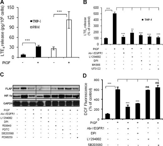 Figure 2. PlGF-induced LTE4 release, FLAP mRNA expression, and ROS formation. (A) PBM or THP-1 cells were treated with PlGF (250 ng/mL) for 24hours and (B) THP-1 cells were pretreated for 30 minutes with Ab-VEGFR1 (2 μg/mL), LY294002 (10 μM), DPI (10 μM), MK866 (10 μM), and U73122 (10 μM), followed by treatment with PlGF for 24 hours. The supernatants were collected and assayed for LTE4 release by ELISA. (C) RPA analysis of total RNA isolated from THP-1 cells pretreated for 30 minutes with Ab-VEGFR1, LY294002, DPI, R59949 (10 μM), PDTC (10 μM), SB203580 (10 μM), and PD98059 (10 μM) before PlGF treatment for 24 hours. (D) THP-1 cells were loaded with DCFH-DA dye for 30 minutes, incubated with indicated inhibitors for an additional 30 minutes and treated with PlGF for 4 hours. The cells were lysed, and the fluorescence was measured. Data are expressed as means plus or minus SEM of 3 independent experiments (***P < .001; **P < .01; ns, P > .05). Where indicated, the vertical lines show repositioned gel lanes.