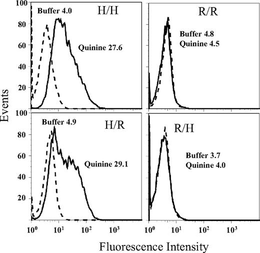Figure 4. Reactions of mAb 314.1 with CHO cells expressing mixed (human/rat) GPIIb/IIIa integrins. In the presence of quinine (solid histograms) mAb 314.1 reacted with cells expressing human GPIIb paired with either human (H/H) or rat (H/R) GPIIIa but failed to react with cells expressing rat GPIIb paired with either human (R/H) or rat (R/R) GPIIIa. No reactions were obtained in the absence of quinine (dashed histograms). Essentially identical reactions were obtained with mAb 314.3 (not shown).